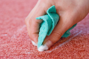 Carpet Cleaning