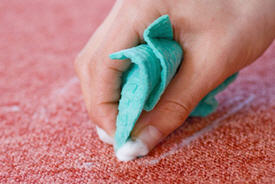 Carpet Cleaning Services